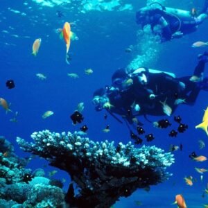 PADI Open Water Course