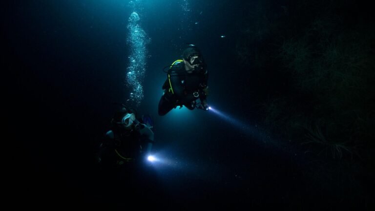 PADI Specialties