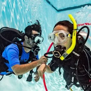 PADI Seal Team
