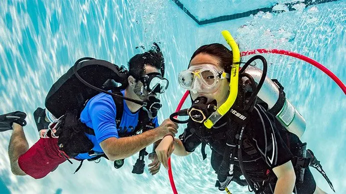 PADI Seal Team