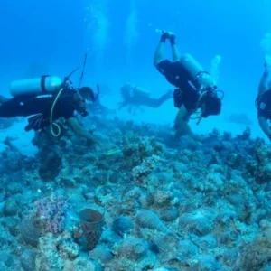 Private Trip to Ottoman Wreck