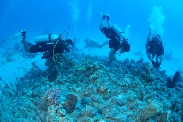 Private Trip to Ottoman Wreck