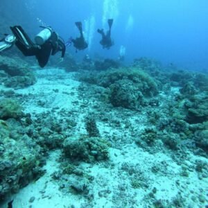 Daily Diving Trip to Seven Sisters