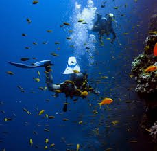 Private Trip to Baridi Island