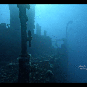 Private Trip to Aiona Wreck