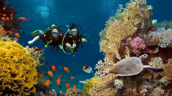 Private Trip to Turtle House